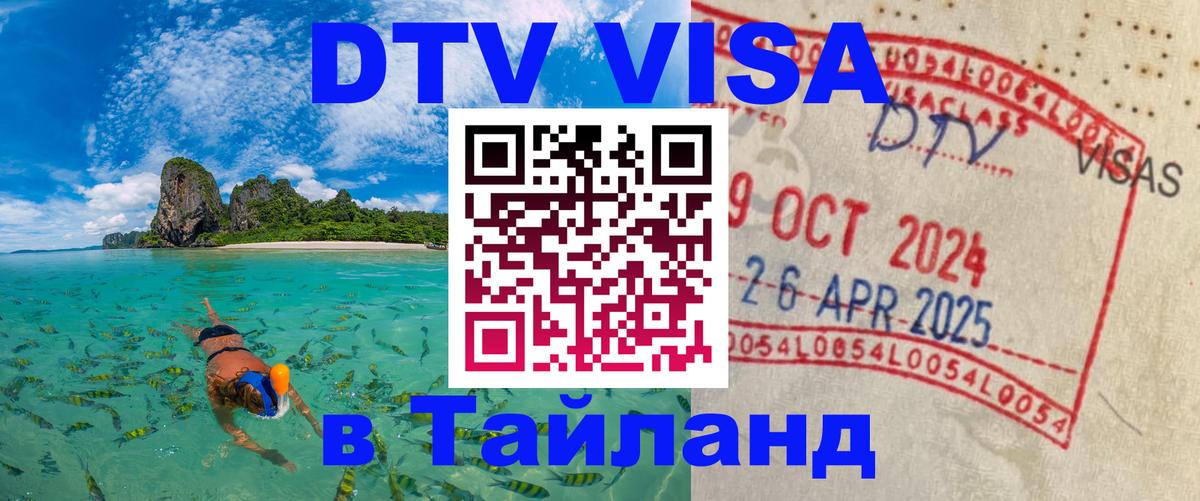 Оформление DTV визы под ключ: стоимость и тарифы, только загранпаспорт - 